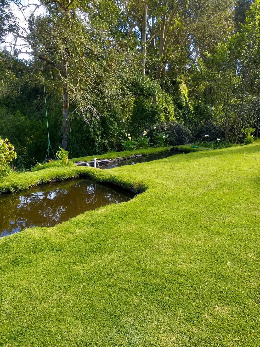 Pesca Deportiva La Calera